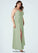 Joyce A-Line Pleated Chiffon Floor-Length Dress P0019601