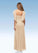 Ariella A-Line Ruched Mesh Floor-Length Dress P0019922