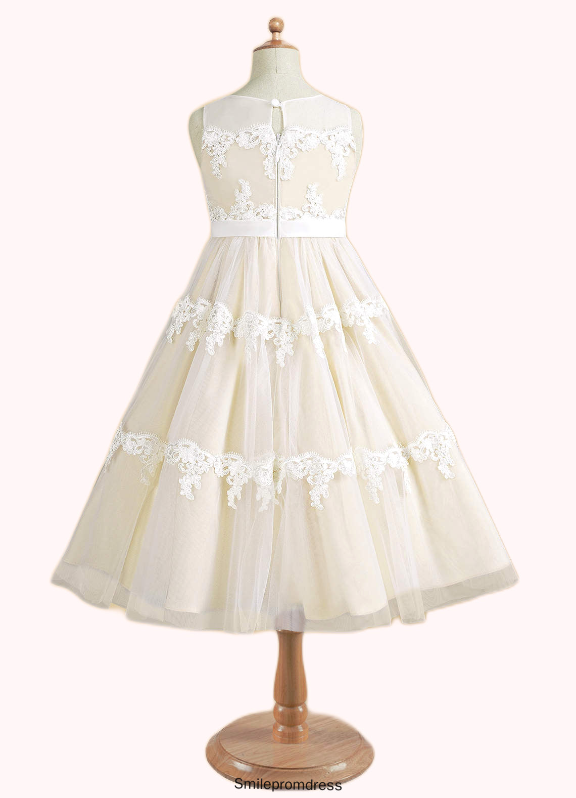 Scarlett A-Line Lace Tulle Tea-Length Dress P0020249