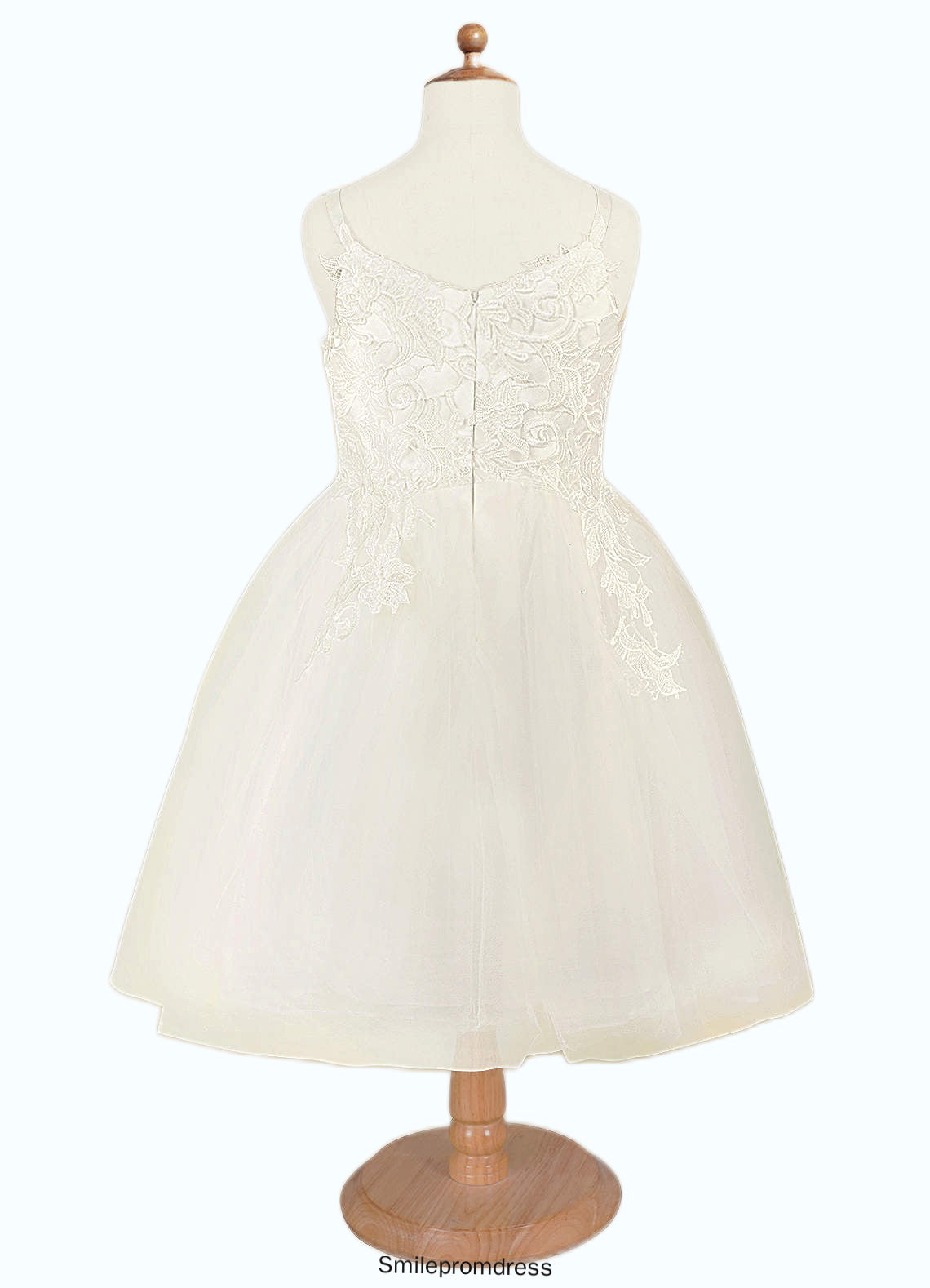Shaniya Ball-Gown Lace Tulle Knee-Length Dress P0020153