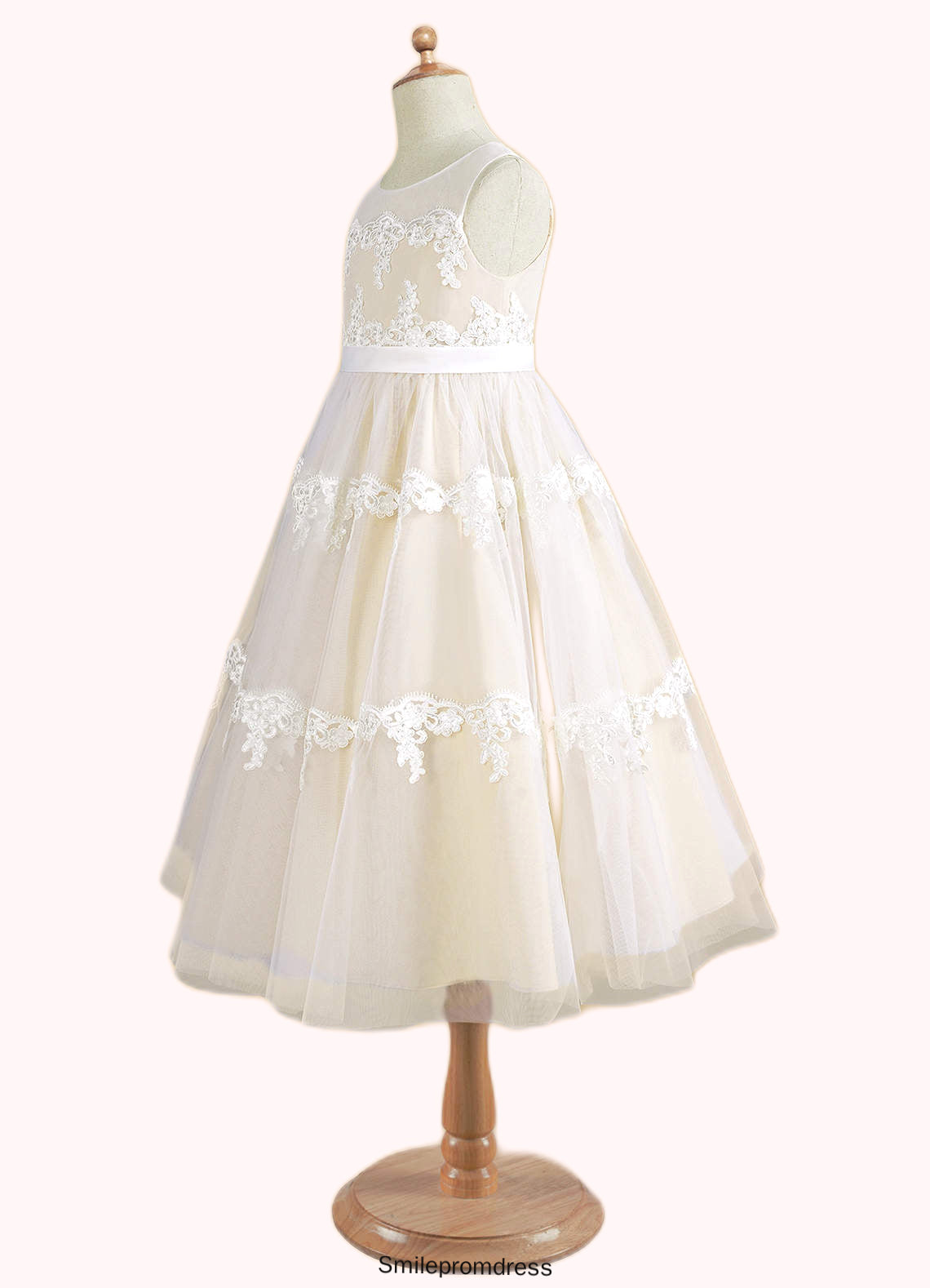Scarlett A-Line Lace Tulle Tea-Length Dress P0020249