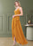 Amaris A-Line Pleated Chiffon Asymmetrical Dress P0019733