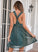Sleeveless Robin Tulle Sexy Dresses Club Dresses V-Neck A-line Mini