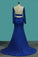 Dresses Mermaid Bateau Long Sleeves Spandex With Applique