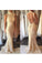 Evening Dresses High Neck Lace Mermaid Sweep Train Open Back