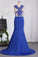 Mermaid See-Through Scoop Prom Dresses With Applique Spandex